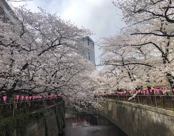 BBQやお花見などさまざまな交流会!
